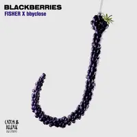 Blackberries