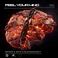 Feel Your Mind