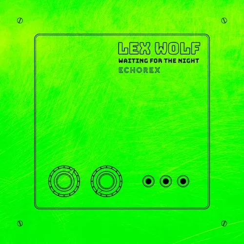 Waiting For The Night