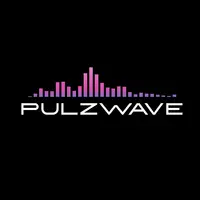 This is.... Pulzwave