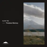 Timeless Memory