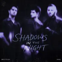 Shadows In The Night