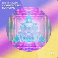 Chamber Of The Holy Grail