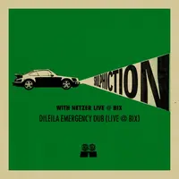 Dileila Emergency Dub (Live @ BIX)