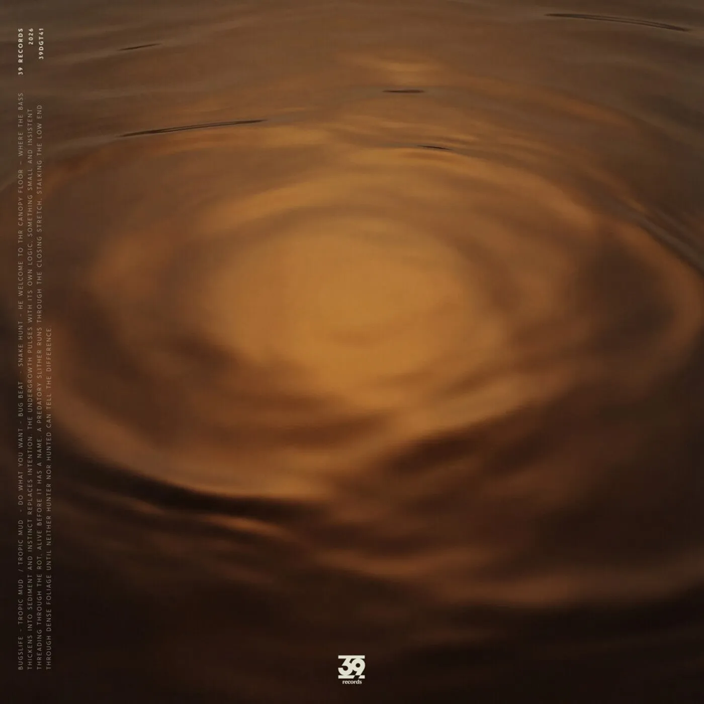 Bug Beat