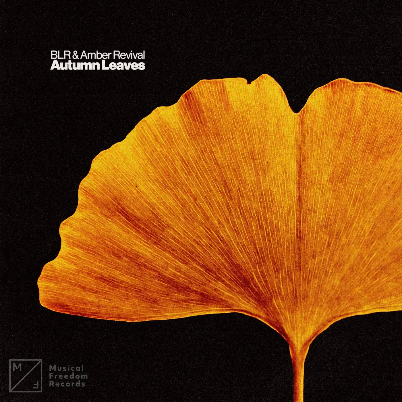 Autumn Leaves