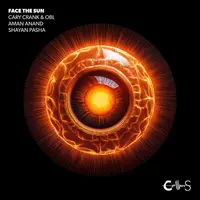 Face the Sun
