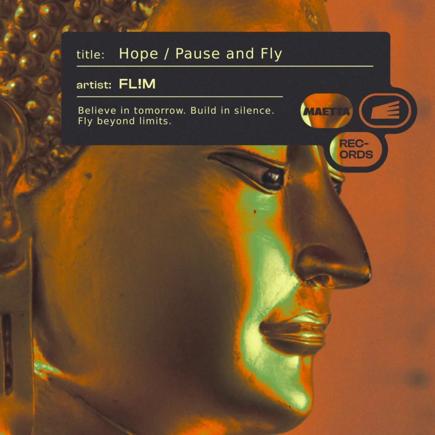 Pause and Fly