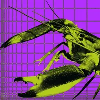 Do The Disco (feat. Jorge Bezerra)