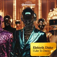 I Like to Disco