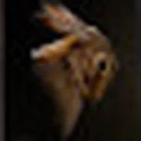 MsSbunny1