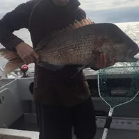 wildadventureswithjack3538