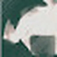 mrscooke9752