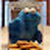 cookiejarKarly